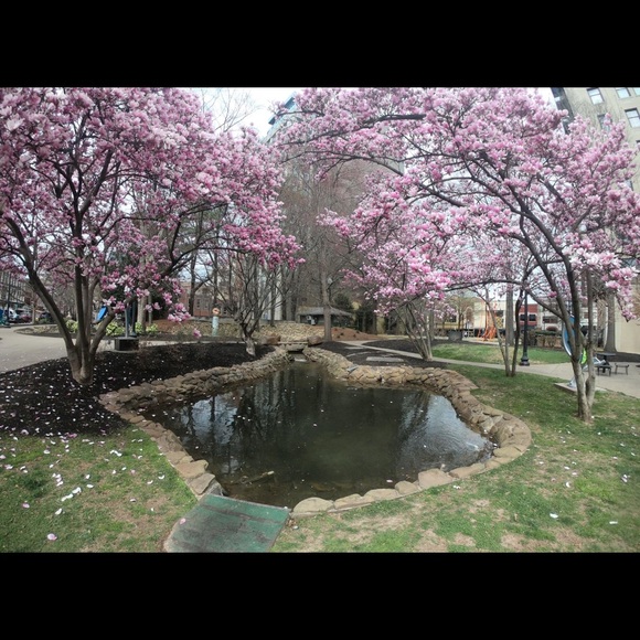 Meet your Posher, Kristin - Picture 2 of 3